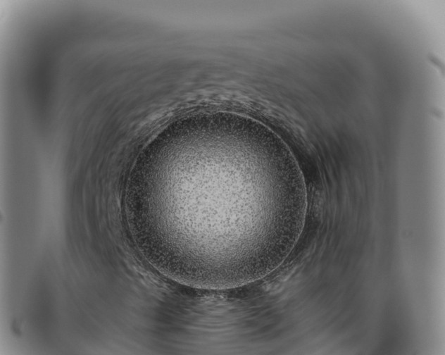 X0000096471489200801311523
