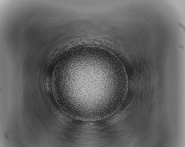 X0000096471490200801311523