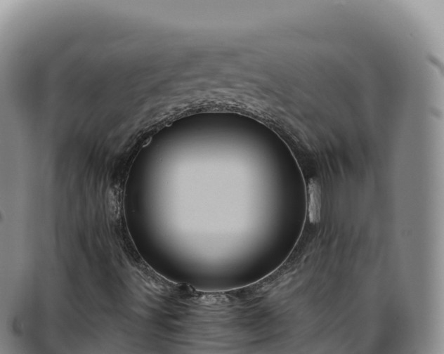 X0000096471491200801311523