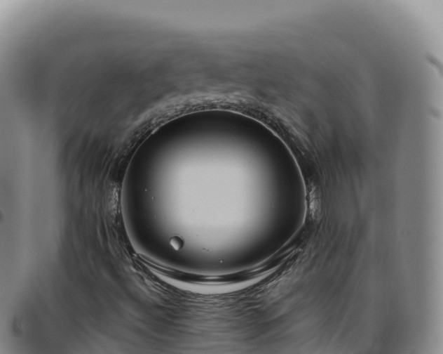 X0000096471492200801311523