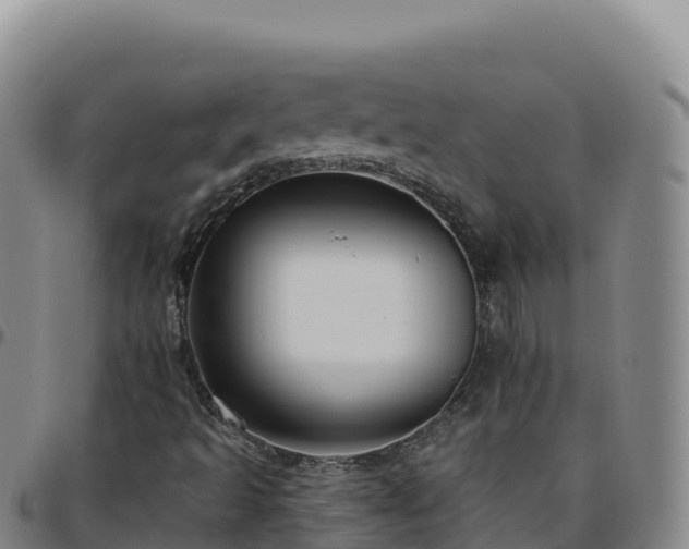 X0000096471493200801311523