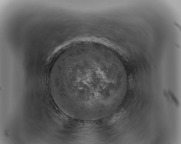 X0000096471494200801311523
