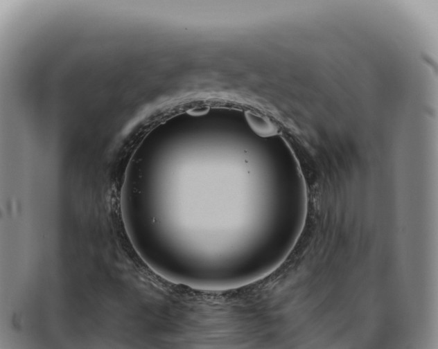 X0000096471495200801311523
