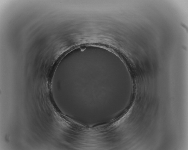 X0000096471497200801311523