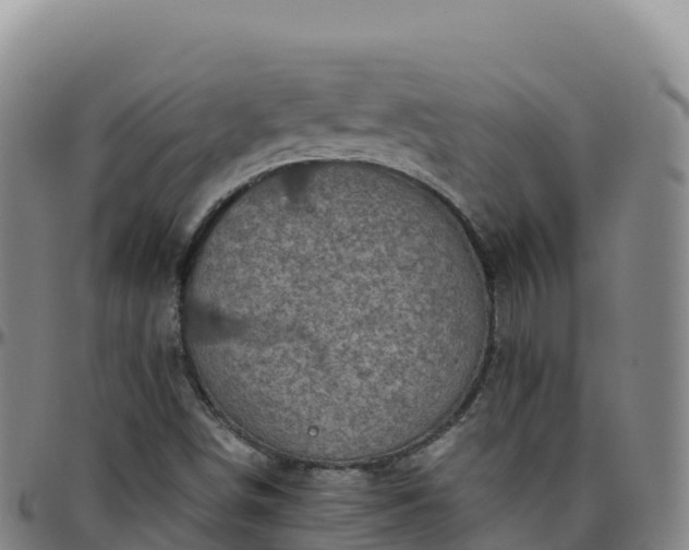 X0000096471498200801311523