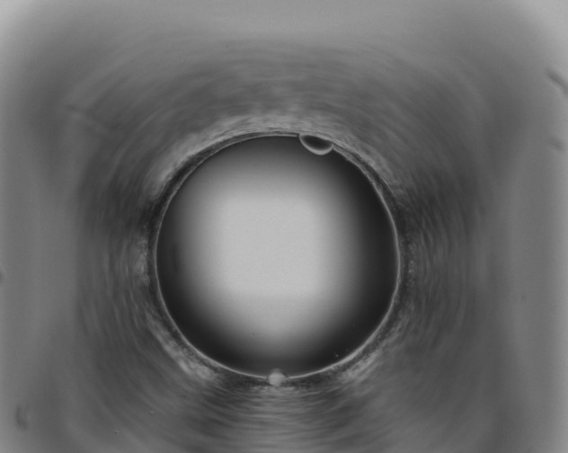 X0000096471499200801311523