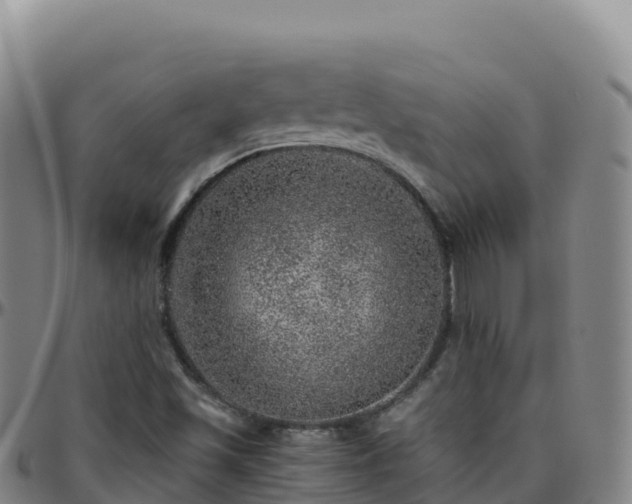 X0000096471501200801311523