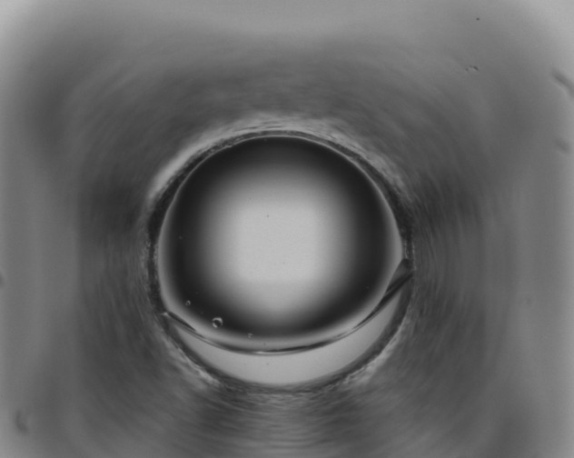 X0000096471502200801311523