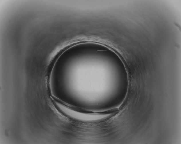 X0000096471503200801311523