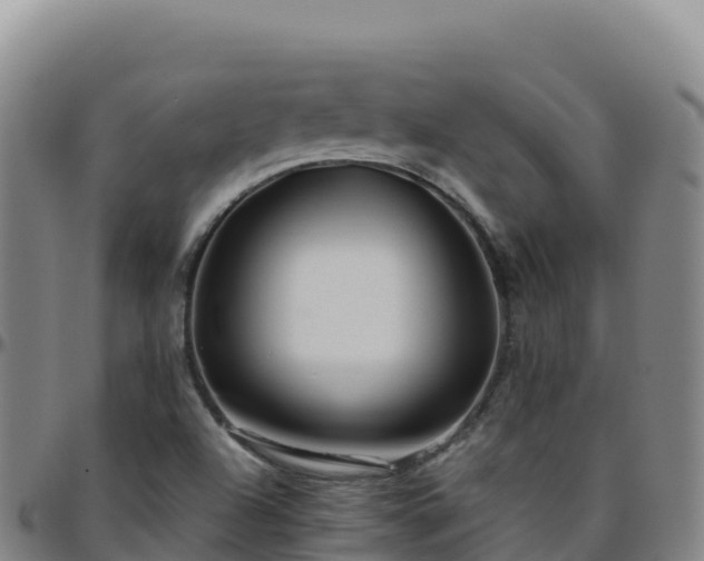 X0000096471504200801311523