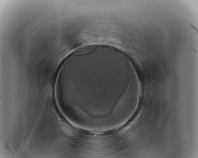 X0000096471505200801311523
