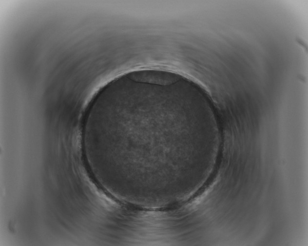 X0000096471506200801311523