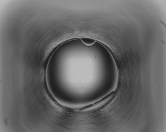 X0000096471507200801311523