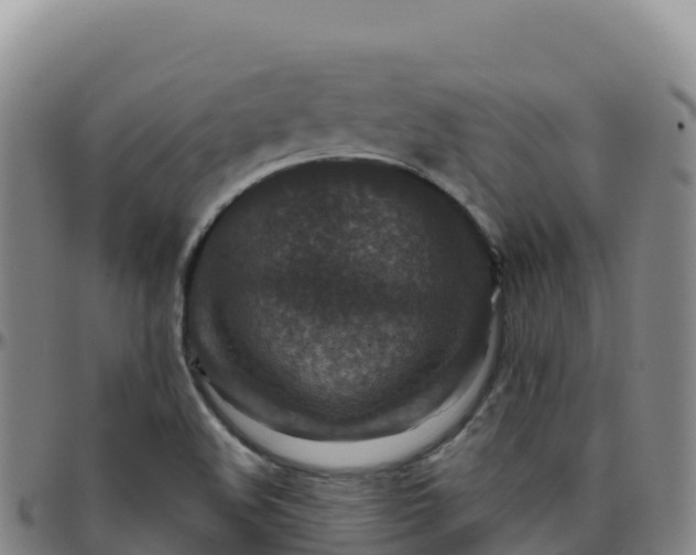 X0000096471508200801311523
