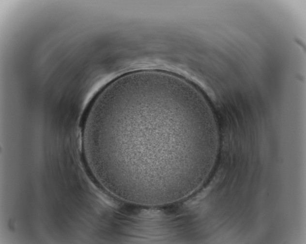 X0000096471509200801311523