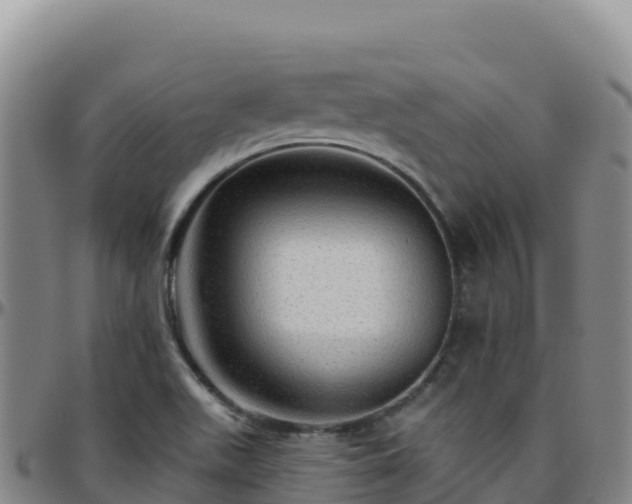 X0000096471511200801311523
