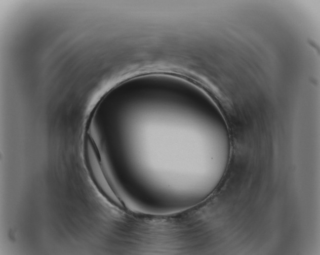X0000096471512200801311523