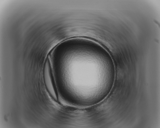 X0000096471513200801311523
