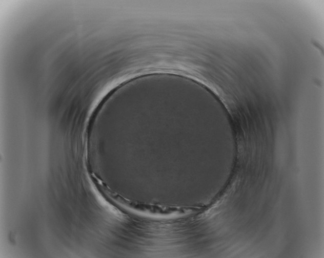 X0000096471515200801311523