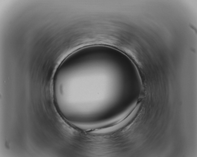 X0000096471516200801311523