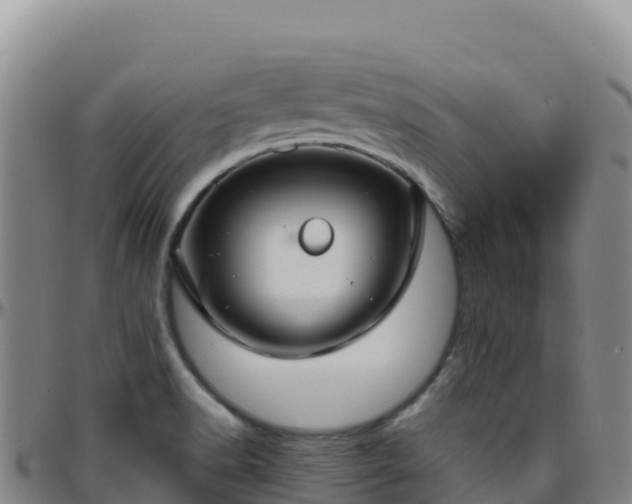 X0000096471518200801311523