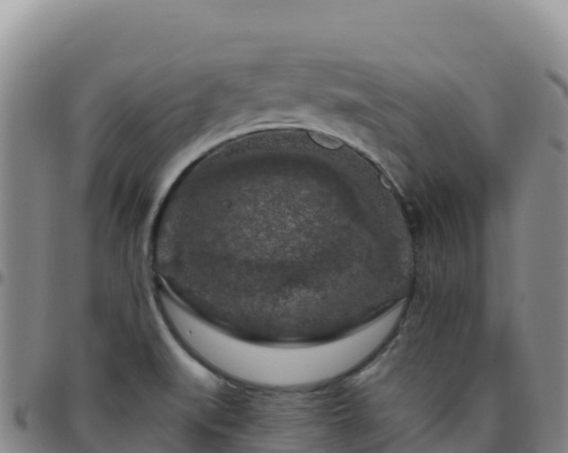 X0000096471519200801311523