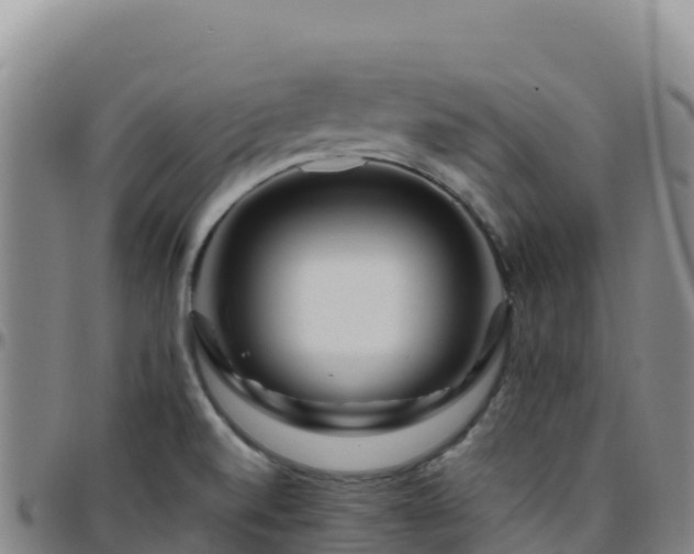 X0000096471520200801311523