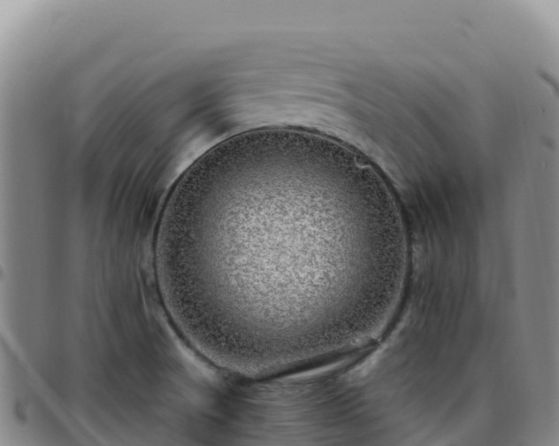 X0000096471521200801311523