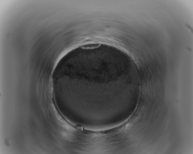 X0000096471522200801311523