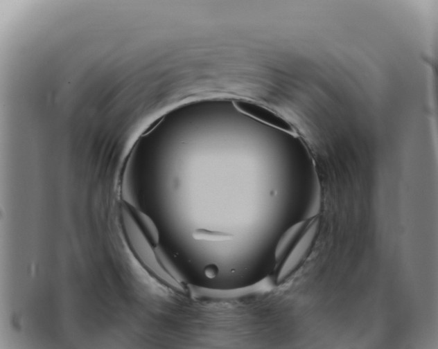 X0000096471524200801311523