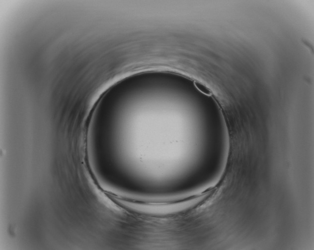 X0000096471526200801311523