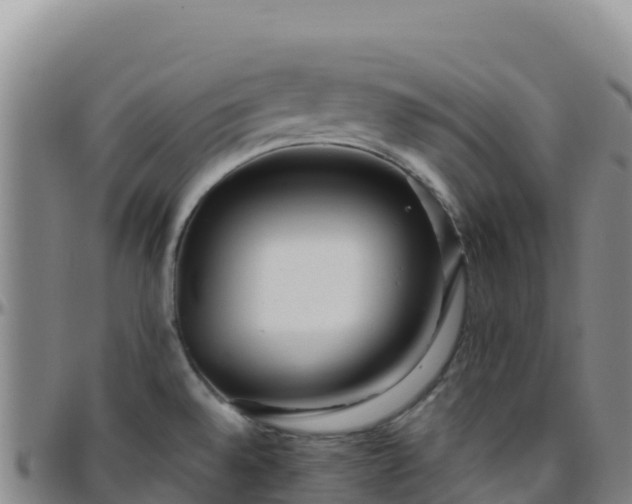 X0000096471528200801311523