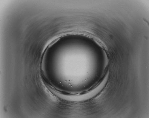 X0000096471530200801311523