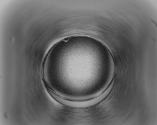 X0000096471531200801311523
