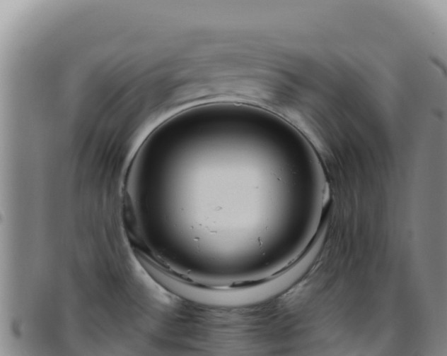 X0000096471532200801311523