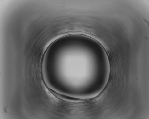 X0000096471534200801311523