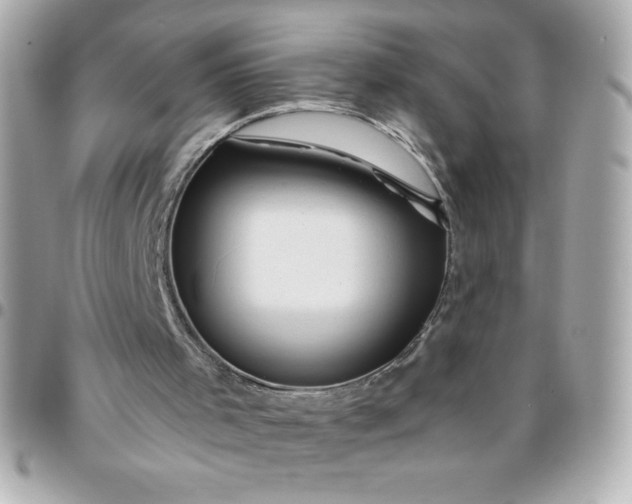 X0000096470001200802071907