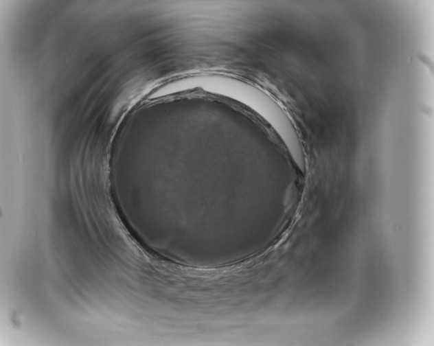 X0000096470002200802071907