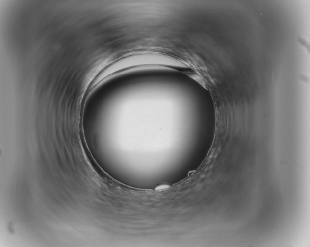 X0000096470003200802071907