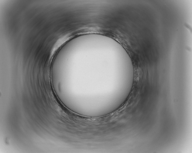 X0000096470004200802071907