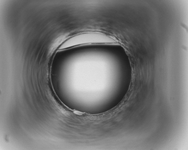 X0000096470005200802071907