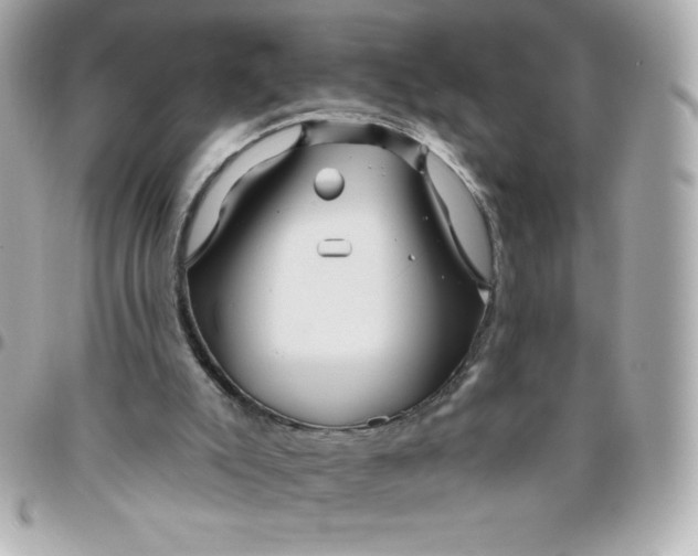 X0000096470007200802071907