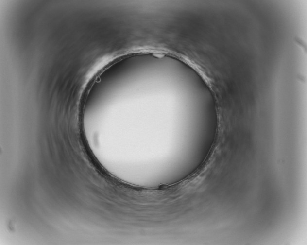 X0000096470008200802071907