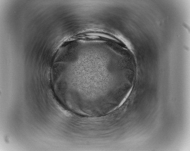 X0000096470009200802071907