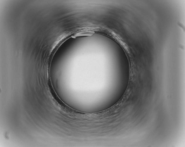 X0000096470011200802071907