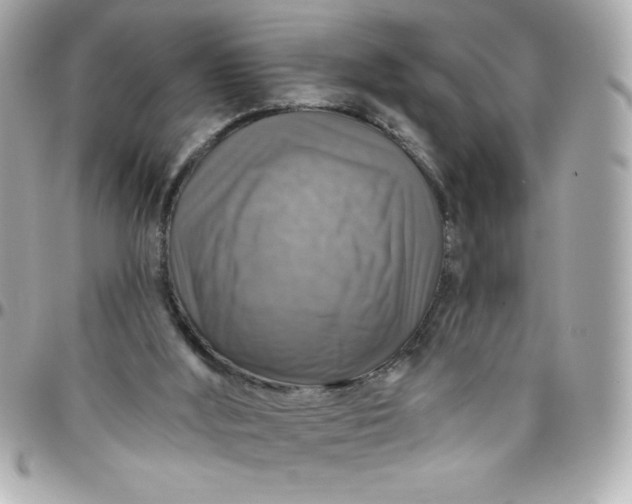 X0000096470012200802071907