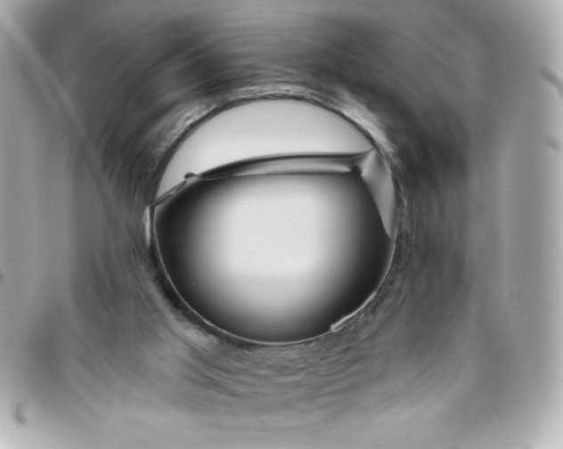 X0000096470013200802071907