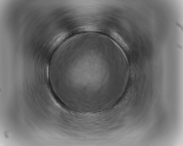 X0000096470014200802071907