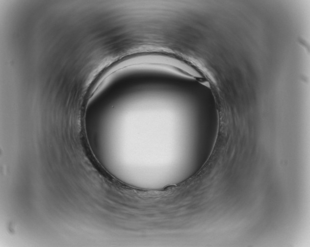 X0000096470015200802071907