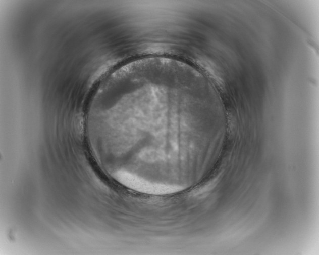 X0000096470016200802071907